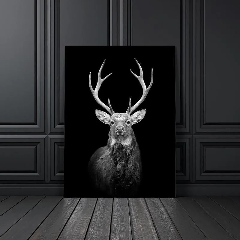 Copy of Animals Wall Art Prints