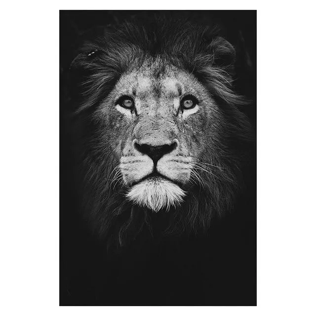 Copy of Animals Wall Art Prints
