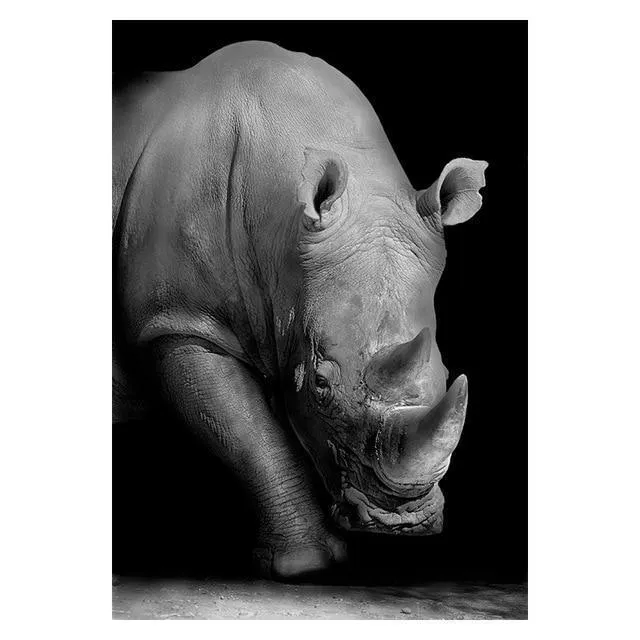 Copy of Animals Wall Art Prints