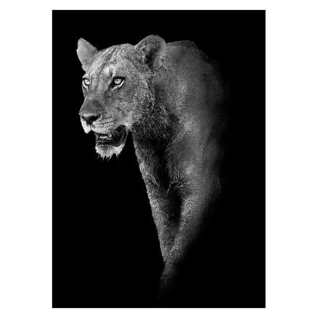 Copy of Animals Wall Art Prints