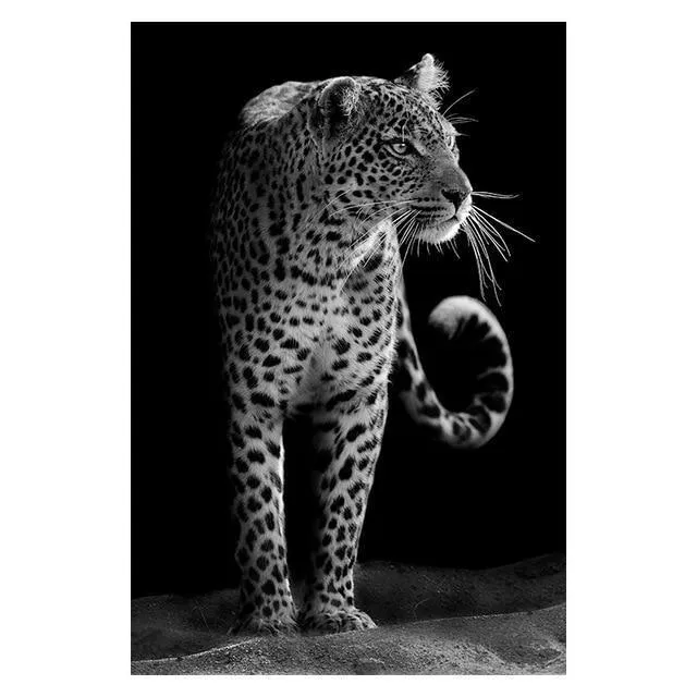 Copy of Animals Wall Art Prints