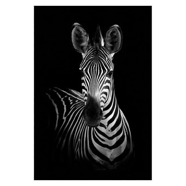 Copy of Animals Wall Art Prints