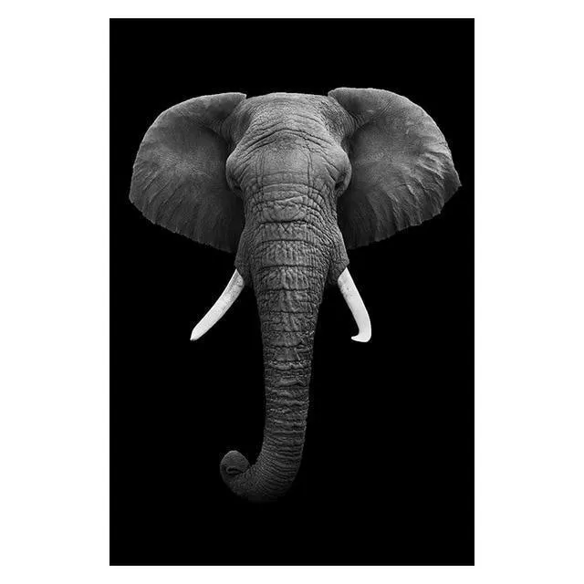 Copy of Animals Wall Art Prints