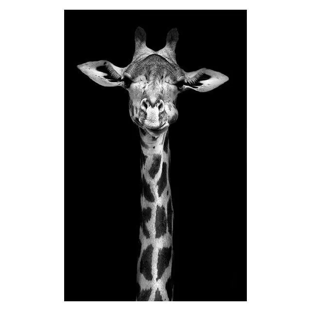Copy of Animals Wall Art Prints