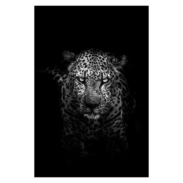 Copy of Animals Wall Art Prints