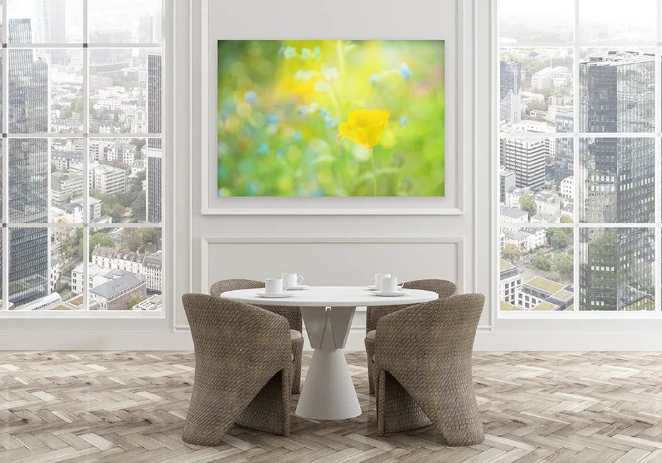 Sunny Day Canvas